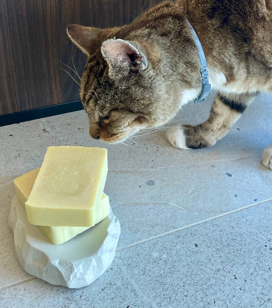 Savon des Fidèles - Savon solide naturel pour animaux (chiens, chats, chevaux)