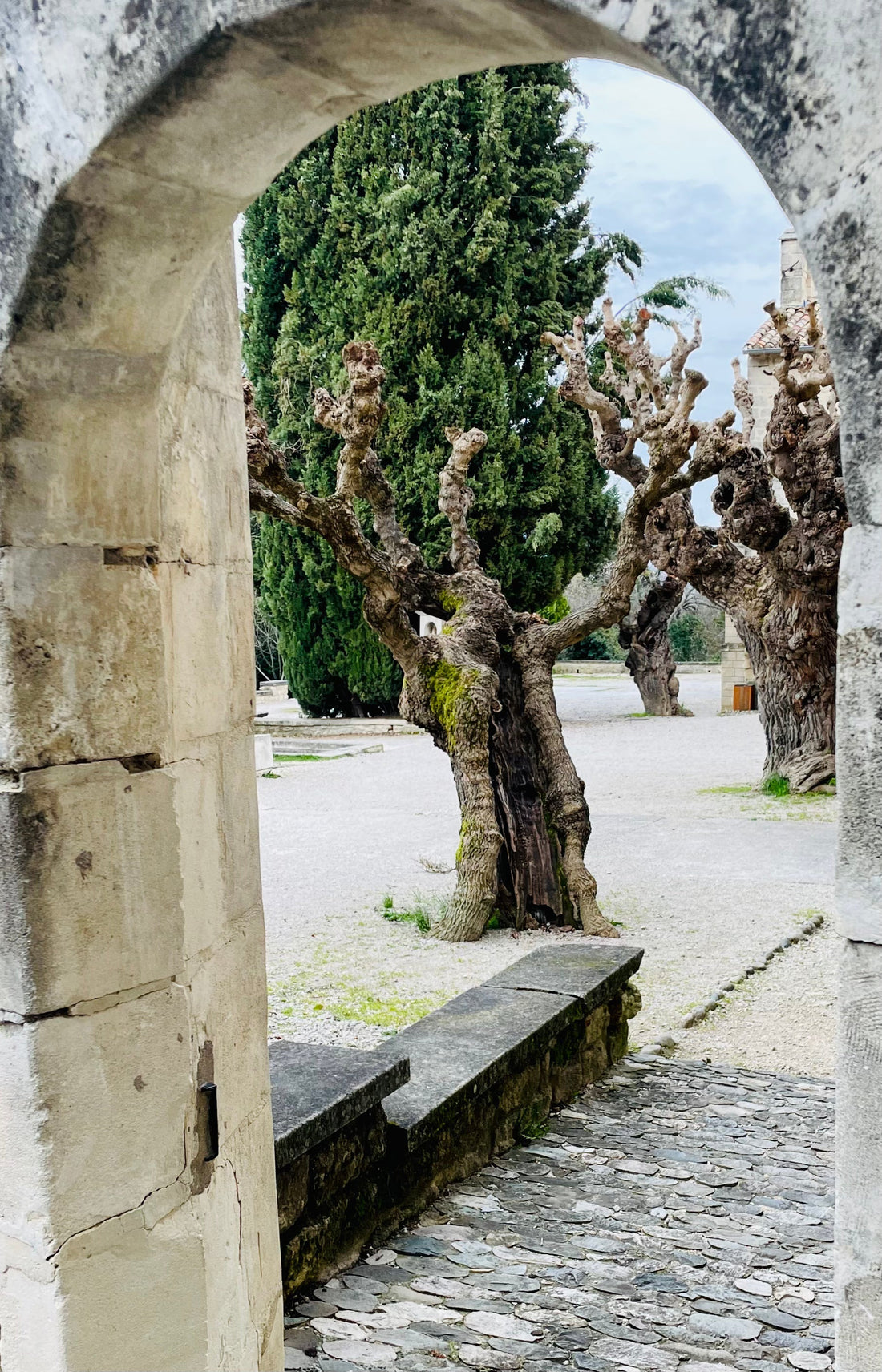 Ma formation à l’UESS de Forcalquier : une étape clé dans mon parcours en savonnerie artisanale